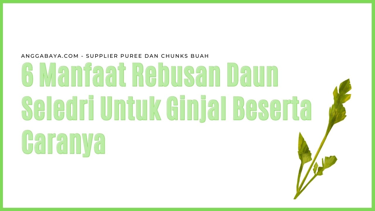 6 Manfaat Rebusan Daun Seledri Untuk Ginjal Beserta Caranya